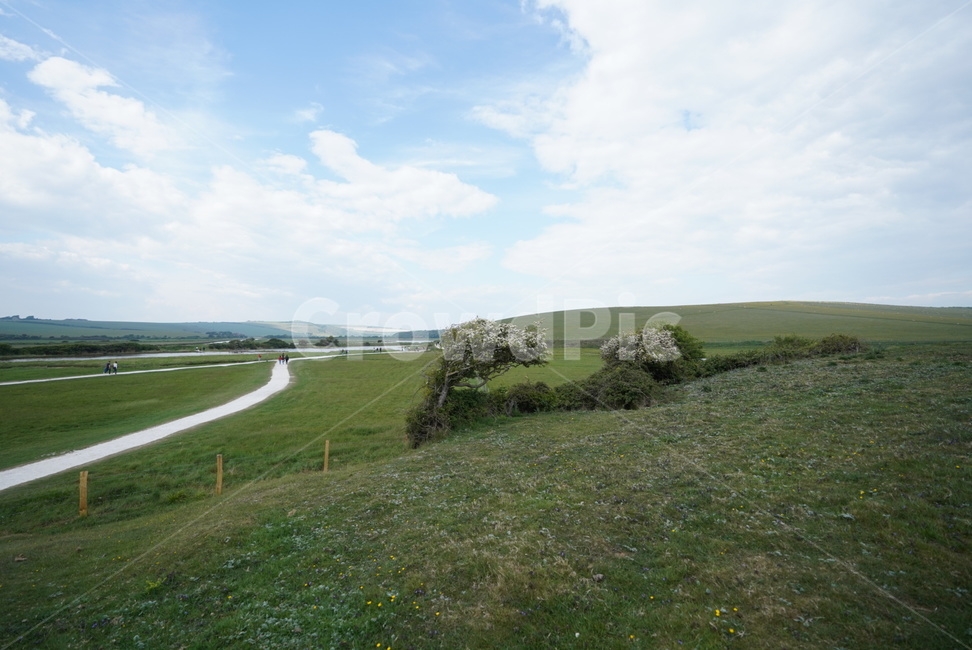 자연,sevensisters,자연경관,sky,풍경,자연,풍경,nature,landscape,해외,외국,세계,foreign,oversea,world,세계자연풍경,해외자연풍경,외국자연풍경,world nature landscape,outdoors,옥외,grassland,목초지,field,들