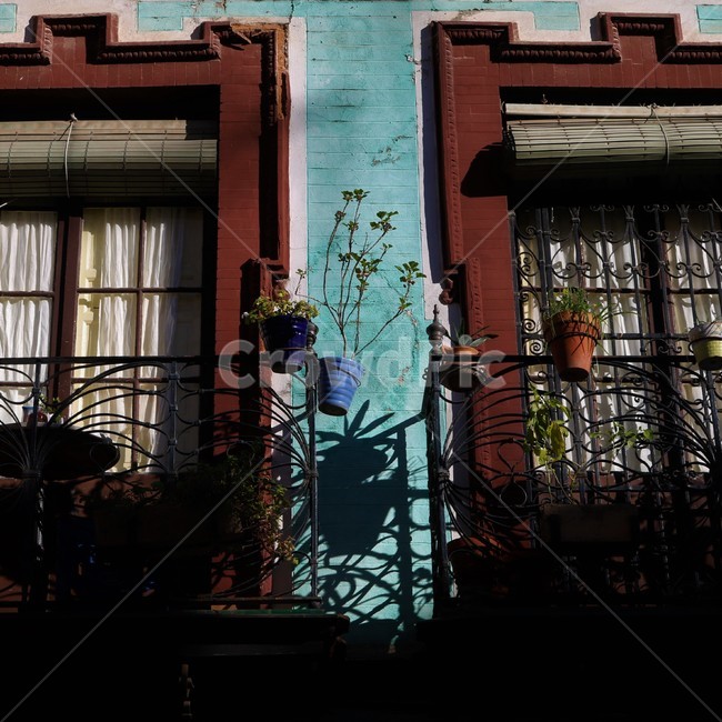 화분,창문,유럽골목,스페인,그림자,shadow,flower,꽃,window