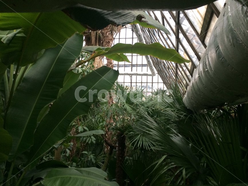 자연,풍경,그리너리,green,grenery,nature