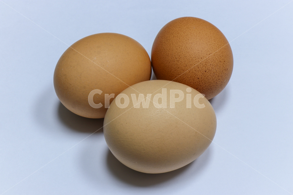 달걀,egg,식재료,계란,음식,식품,food,신선,단백질,껍질,식자재,음식,식재료,요리,food,cook,meal,dishes,food reserves