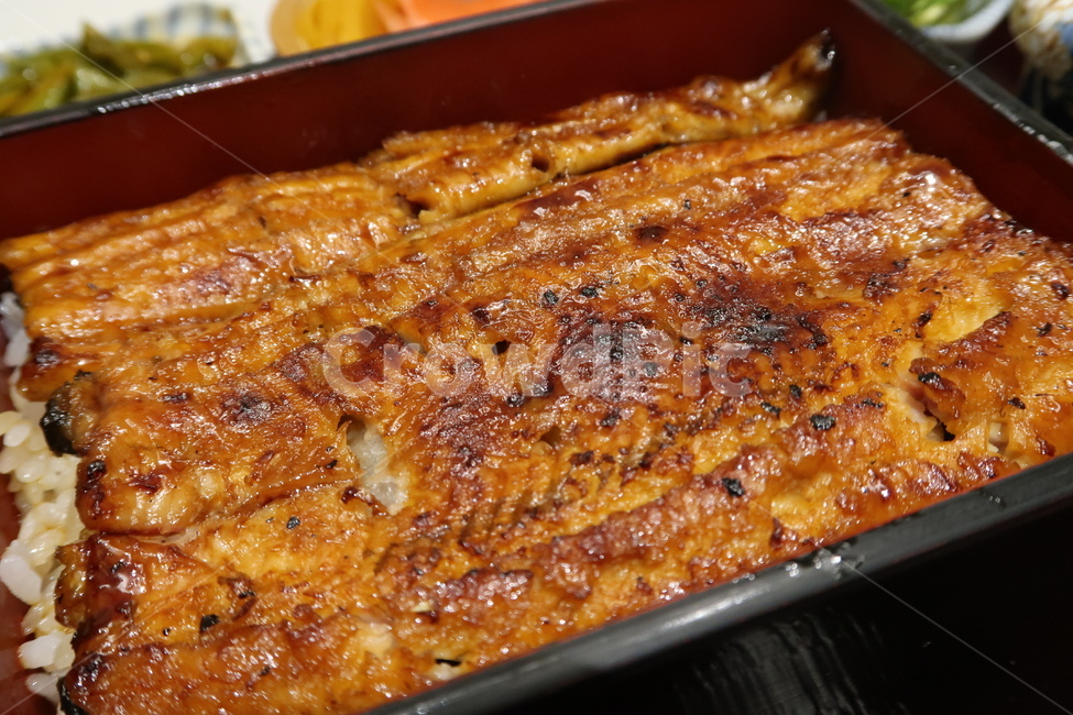 장어덮밥,덮밥,일식,우나동,우나,음식,식재료,요리,food,cook,meal,dishes,food reserves