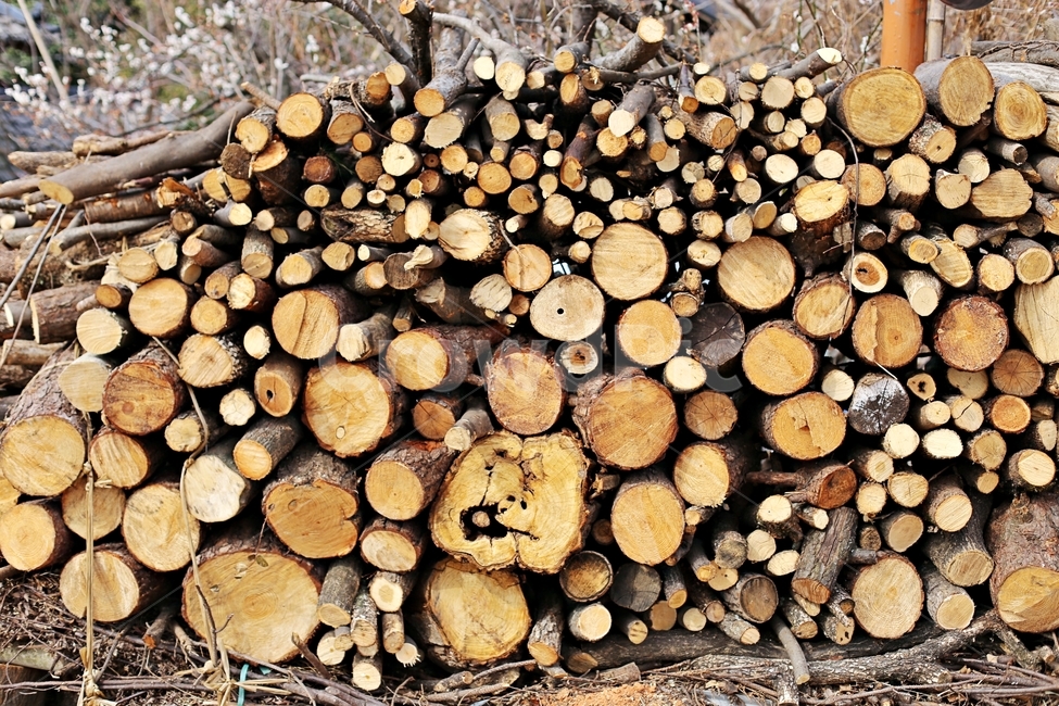 최참판댁,목재,땔감,나무,wood,woods,나무,trees,wood