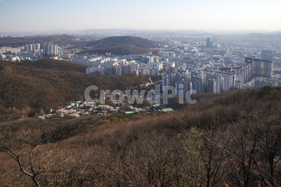 모락산,경기도,의왕시,도심풍경,군포시,성라자로마을,건물,아파트
