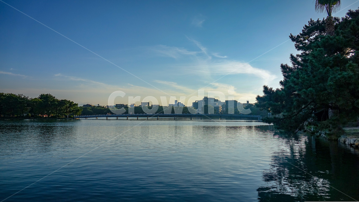 오호리공원,후쿠오카,공원,풍경,핑크빛노을,호수,park,오호리코엔,fukuoka,감성,자연,나무,다리,산책,벤치,water,물,outdoors,옥외,nature