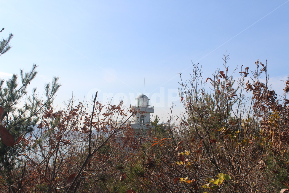 tower,building,건물,등대,건축물
