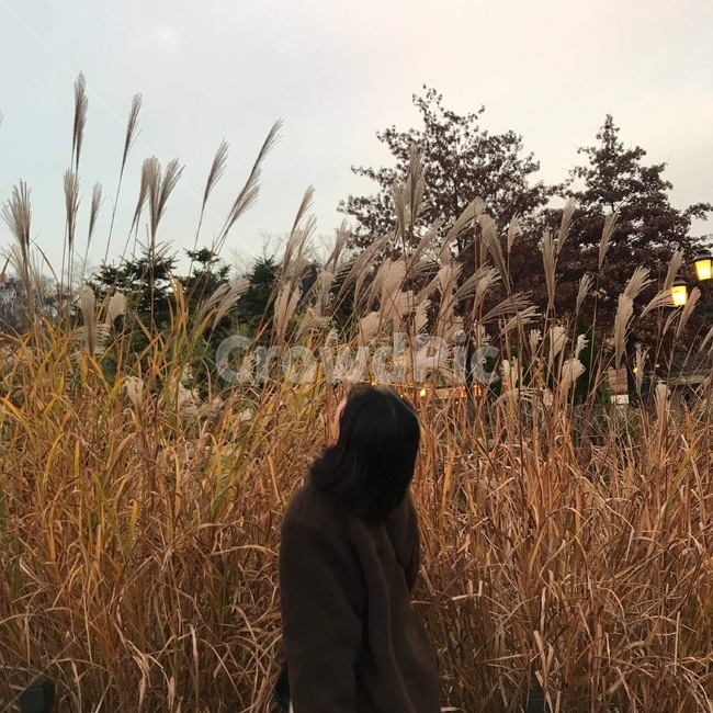 에버랜드,뒷모습,인물,여자뒷모습,가을,갬성,식물
