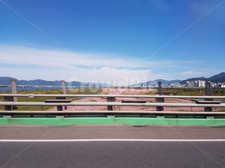 꽃,하늘,구름,다리,도로,봄,자연,풍경,nature,landscape