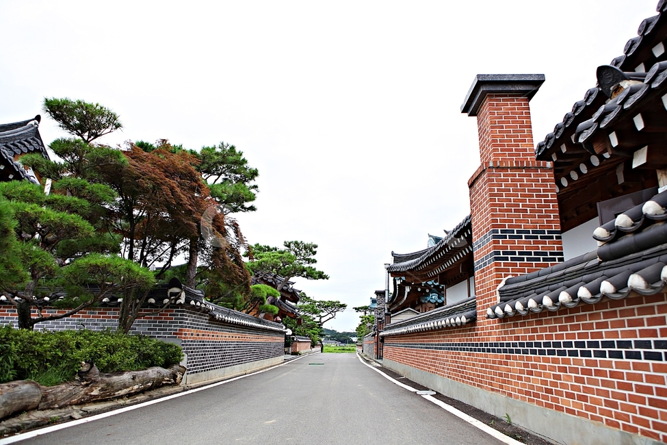 도솔미술관,미술관,한옥,한옥집,전통집,기와집,집,풍경,자연,나무,식물