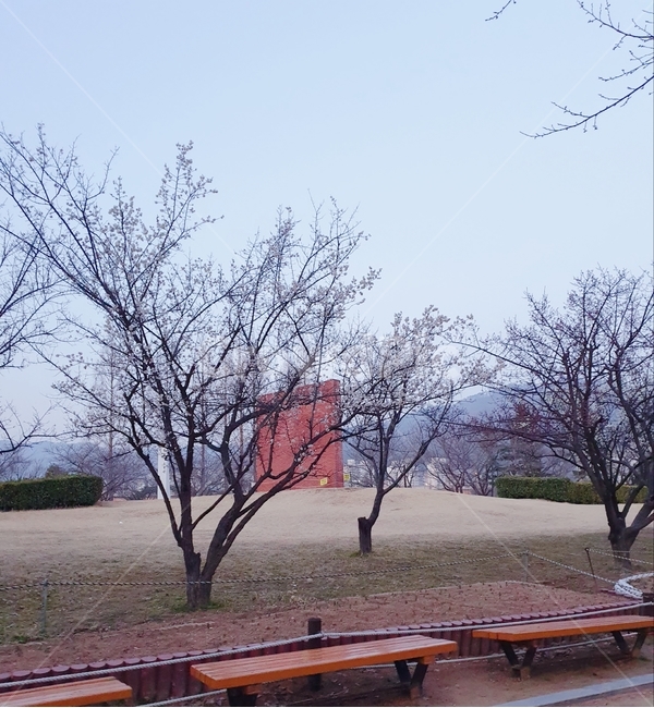 자연,nature,나무,tree,나무줄기,chair,벤치