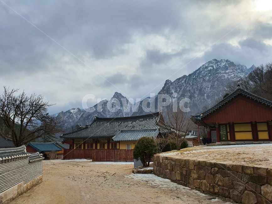 사찰,절,설악산,절경,산,자연,신흥사