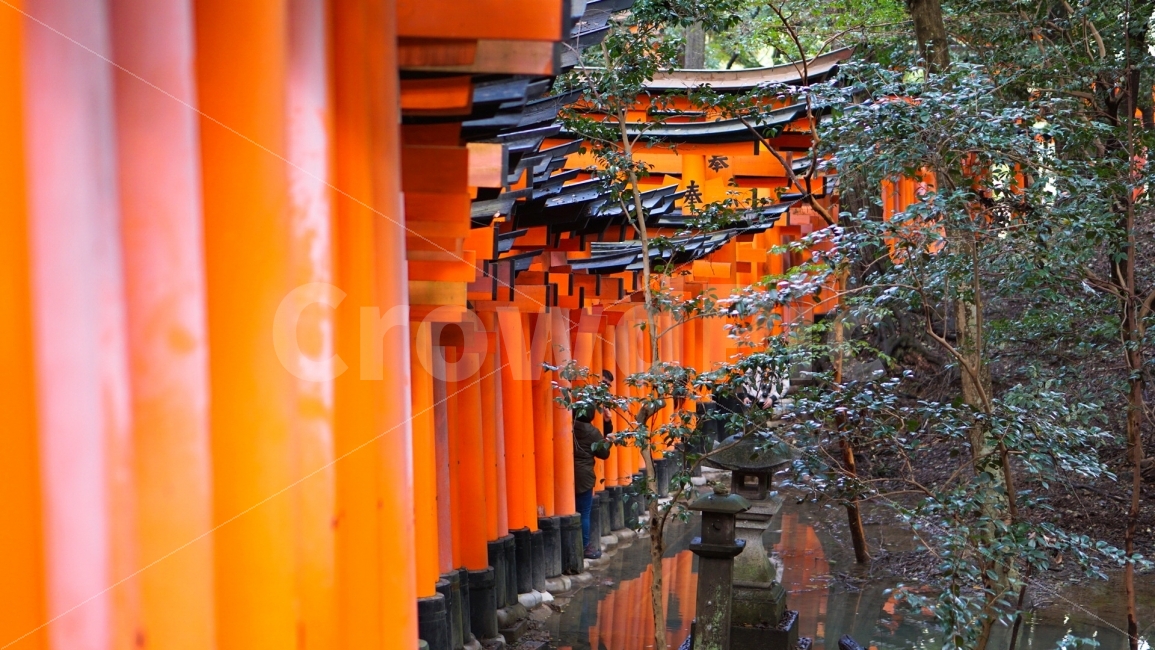 여행,travel,여행사진,해외여행,혼자여행,사진,배경사진,배경,이쁜사진,색감,색감좋은사진,일본,일본여행,교토,신사,후시미이나리,해외,외국,세계,foreign,oversea,world,종교,신앙,religion,belief,faith