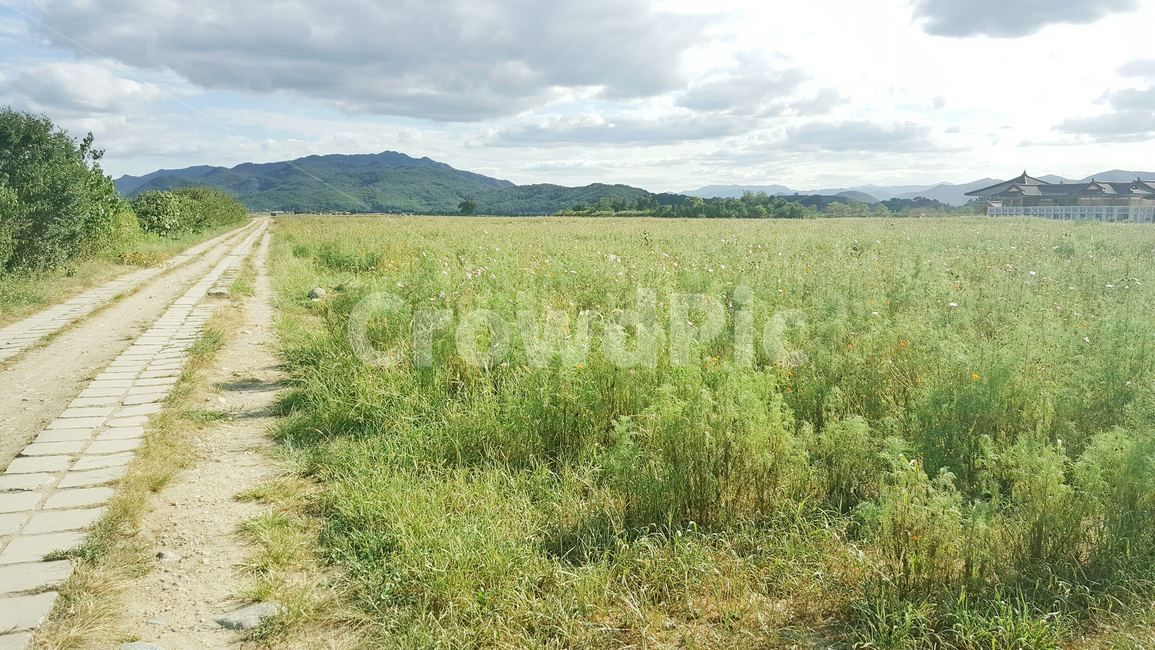 ground,초원,하늘,지평선,오솔길,trail,skyline,horizon,path,녹지,자연,풍경,nature,landscape,grassland,목초지,outdoors,옥외,field,들