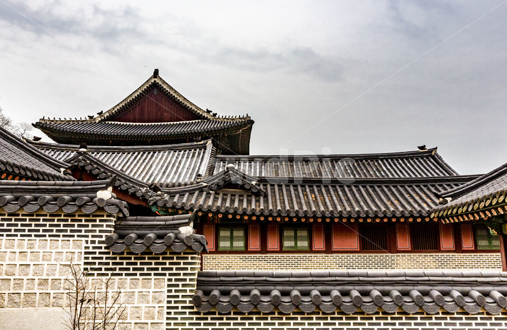 창덕궁,인정전,고궁,문화유산,궁궐,전통건축물,기와,기와지붕,문화재,전통가옥,건축물,기와담장,한국전통,한국문화,korean traditional,korean culture,건축물,건물외관,exterior,building,structure,architecture,construction