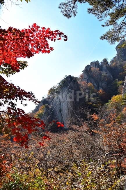대둔산,가을,풍경,단풍,탐방,도립공원,빨간단풍,파란하늘,가을색,오색,울긋불긋,알록달록,그림같은,칼라풀,뷰티플,아름다운,힐링,감성,자연,정취,산세,명산,100대명산,nature,산,등산,트레킹,풍경사진,비경,경치,가을사진,가을색채,가을의정취,맑음,청명,가을날씨,경관,기암,암봉우리,mountain,금산,완주,논산,낙조대,낙조산장,마천대,케이블카,구름다리,삼선계단,칠성봉,가을,계절,fall,autumn,season,자연,풍경,nature,landscape,한국자연풍경,한국자연경관,korea nature landscape,leaf,잎,plant,식물,tree,나무