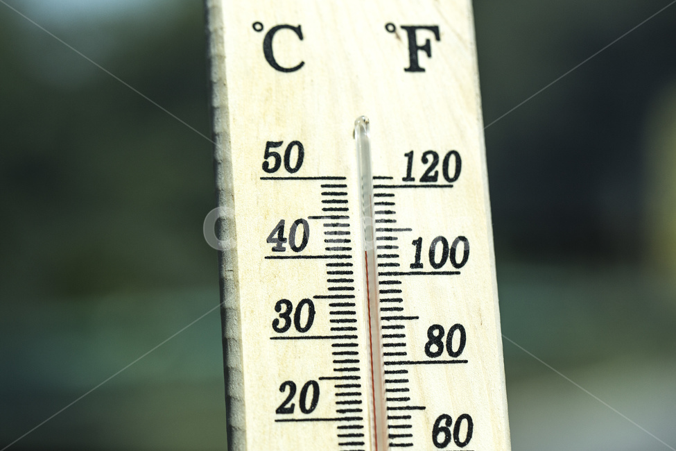 온도계,온도,화씨,고온,더위,여름,날씨,배경,빨강,측정,개체,계절,기호,뜨거운,태양,열,따뜻한,하늘,빛,수은,기상,heatwave,열대,기후,일사병,나무,한여름,무더위,이상기온,기온,열대야,40도,여름,계절,summer,season,사물,물건,오브젝트,thing,object,matter