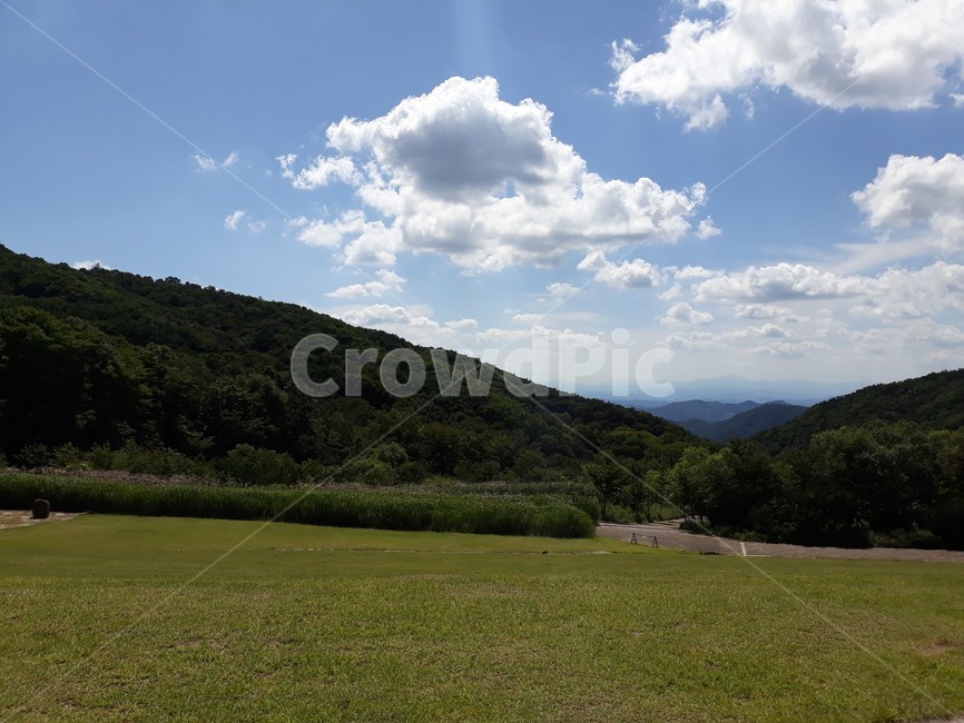 nature,자연,outdoors,옥외,식물,plant,목초지,grassland,잔디,들,grass,field,감성,풍경,잔잔함,자연,풍경,nature,landscape