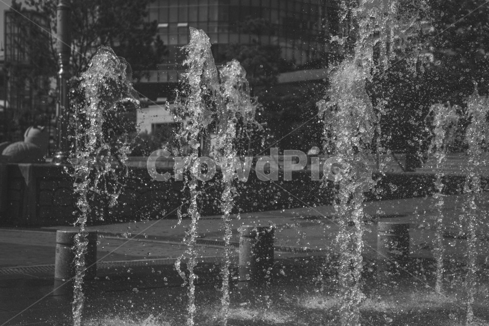 물줄기,분수대,분수,물,순간,느낌,감성,fountain,water,여름,계절,summer,season,흑백,모노톤,monochrome,black and white