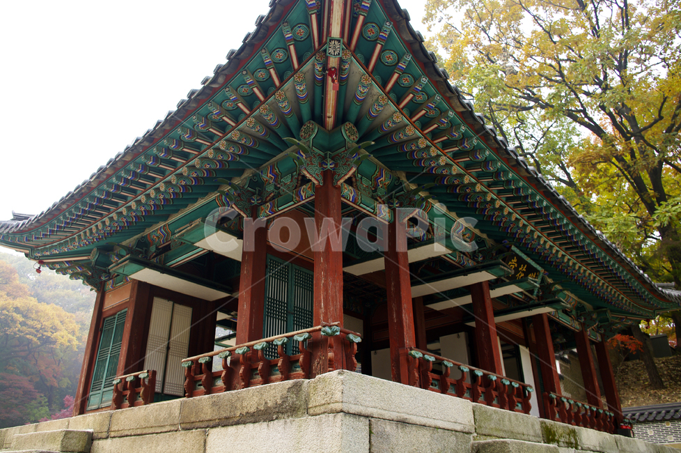 창덕궁후원,영화당,고궁,건축,전통건축,traditional,전통,단청,기와지붕,가을,계절,fall,autumn,season,한국전통,한국문화,korean traditional,korean culture,건축물,건물외관,exterior,building,structure,architecture,construction,건물,temple,신전,worship,예배,shrine,신사