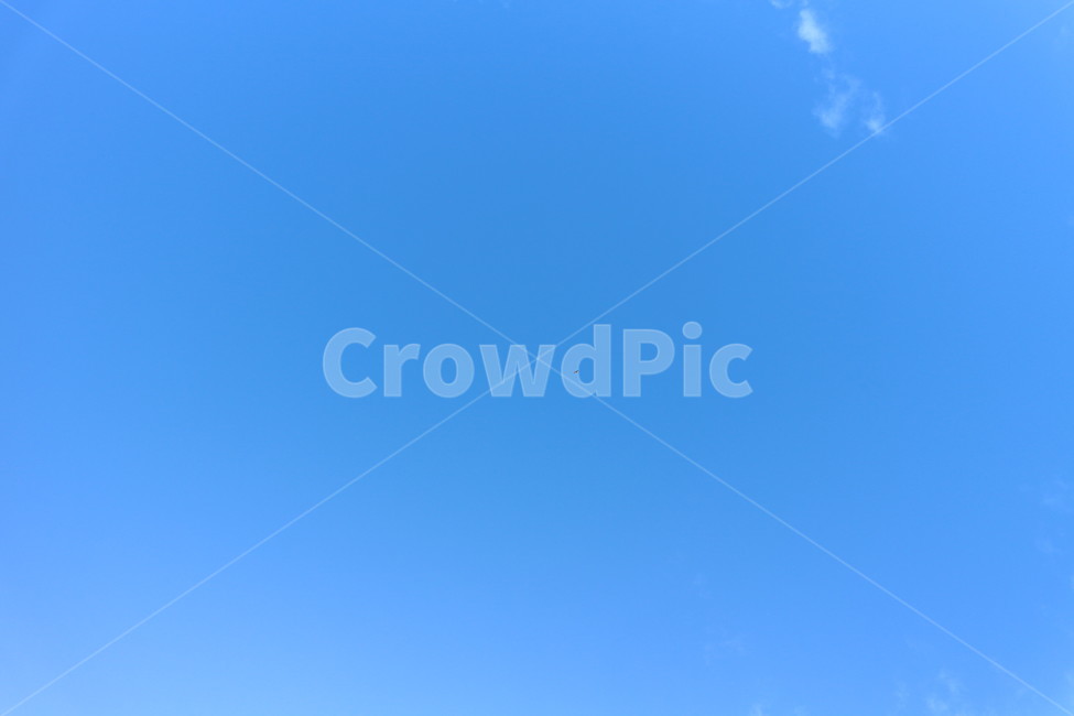 맑은하늘,하늘,날씨,구름,감성,맑은날,파랑색,하늘색,daytime,day,blue,cloud,goodweather,sunnyday,sky,nature,자연,풍경,nature,landscape,adventure,모험,leisure activities,레저 활동,bird,새,flying,나는,animal,동물