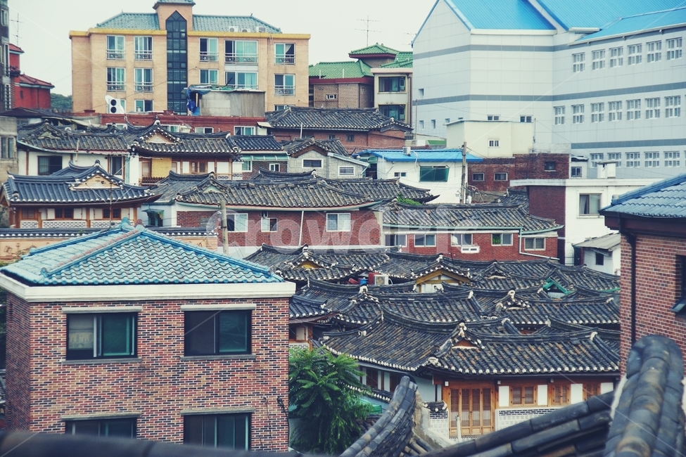 한국,한옥마을,한옥,korea,옛날집,기와집,종로,전통,traditional,기와,마을,도시,풍경,city,landscape,한국도시풍경,한국도시경관,korea cityscape,roof,지붕