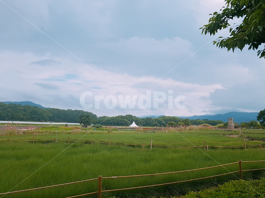 들판,들,하늘,자연,자연풍경,풍경,nature