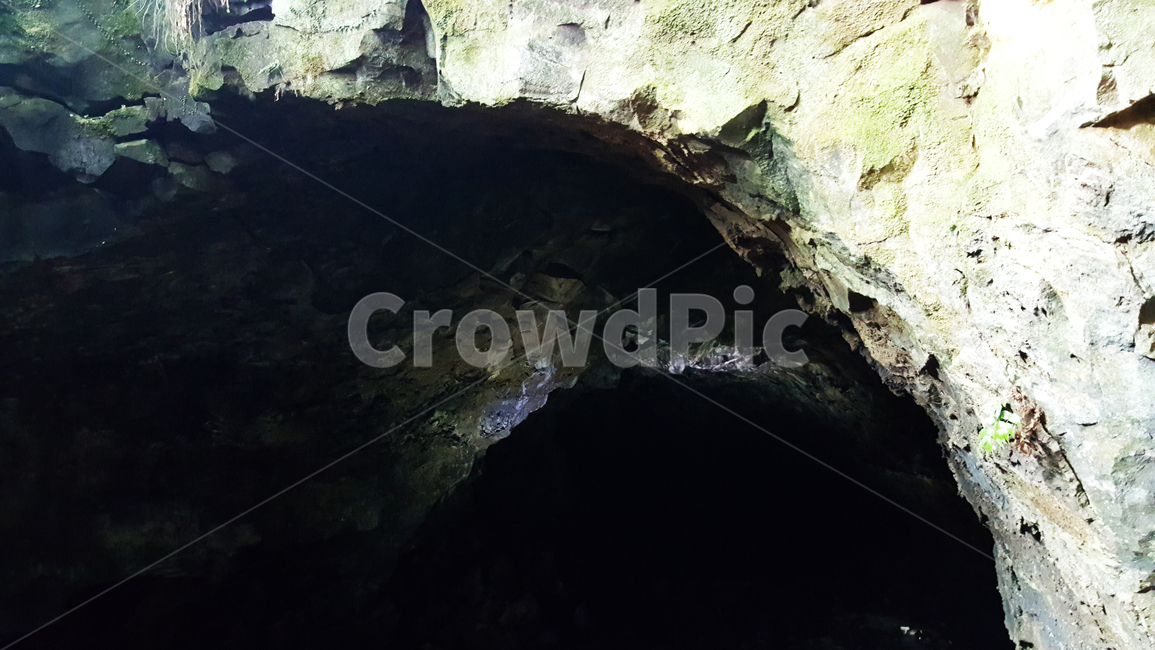 동굴,입구,자연,바위,숲,자연,풍경,nature,landscape,cave
