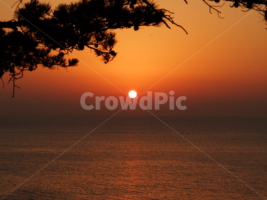 nature,일출,자연,바다,동해바다,해맞이,아침노을,노을