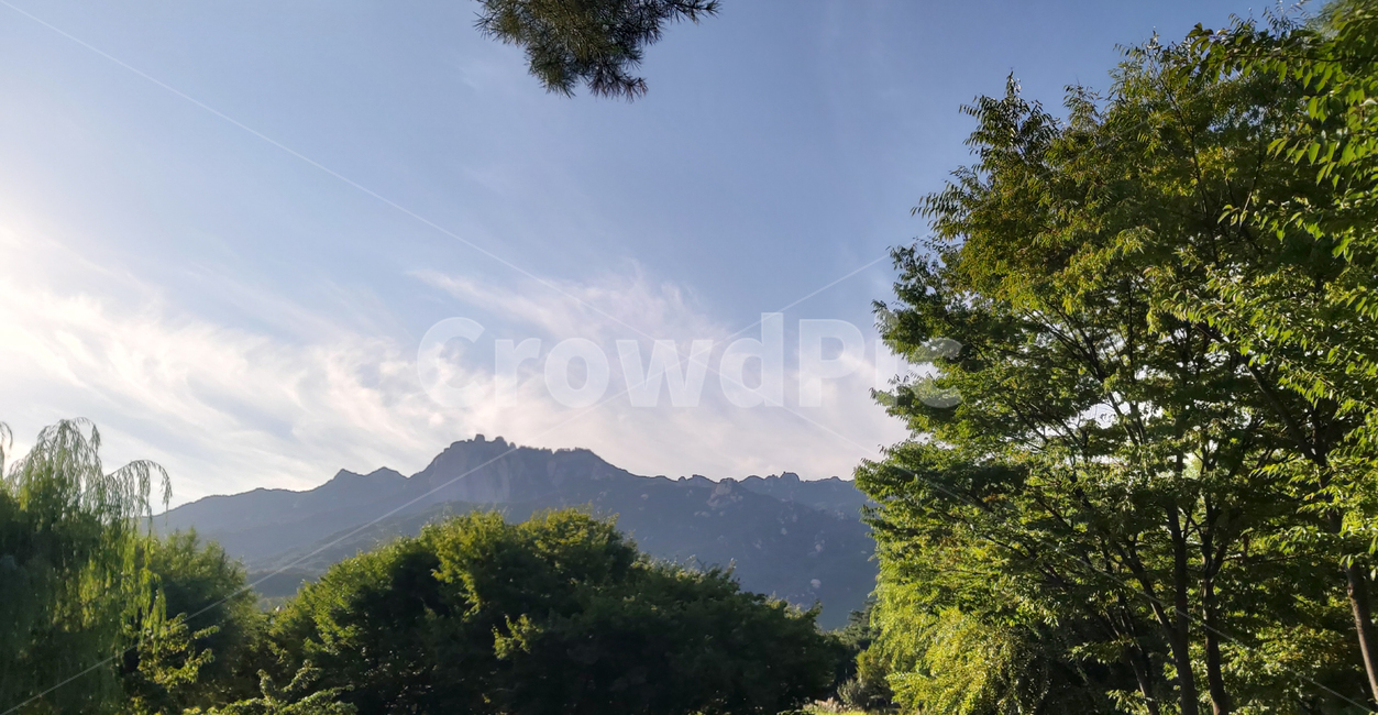 서울창포원,도봉산,산,나무,하늘,구름,자연,changpowon,dobongsan,mountain,trees,sky,clouds,nature,나무,trees,wood