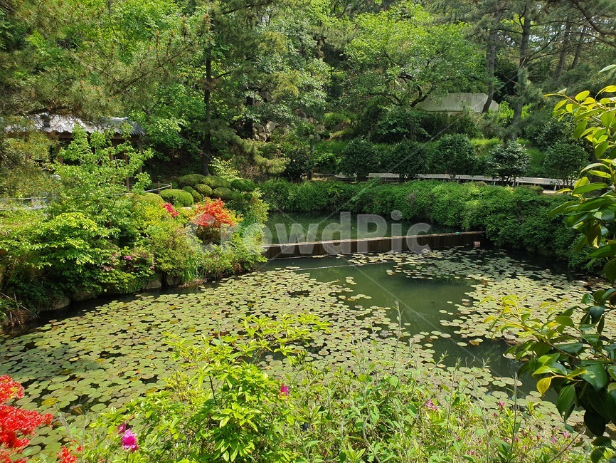 garden,nature,자연,정원,호수,풀숲,lake,폭포,water