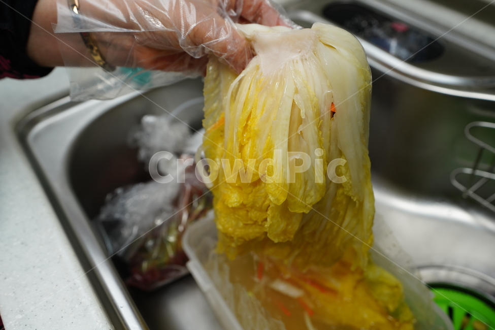 배추,물,물김치,한국,음식,푸드,반찬,채소,야채,전통,식사,먹거리,사람,인물,인간,human,person,신체일부,몸,body,음식,식재료,요리,food,cook,meal,dishes,food reserves,한식,한국음식,한국요리,korean food,korean dishes,korean meal,korean cook