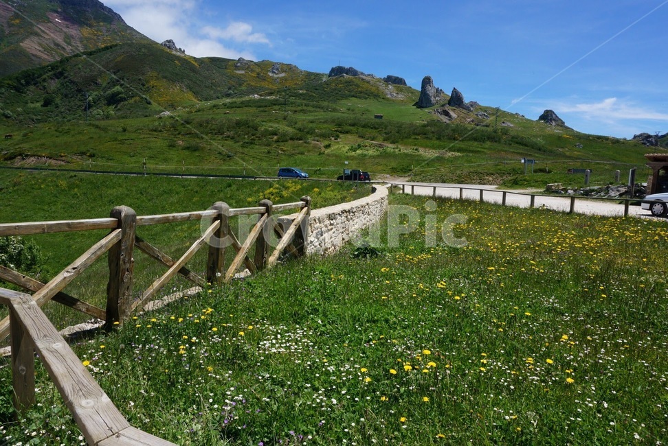 자연,스페인,풍경,휴가,봄,유럽,nature,spain,landscape,holiday,europe,목초지,grassland,들,field,outdoors,꽃,야생화