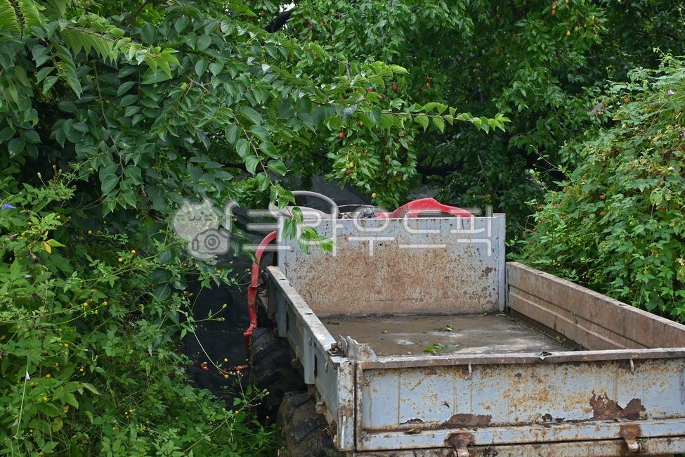 Truck,agricultural machinery,rural,rural scenery,truck bed,farming equipment,country road,farming work,agricultural tools,truck scenery,rural daily life,natural environment,a farmer's day,truck,farming truck,agriculture machine,rural s