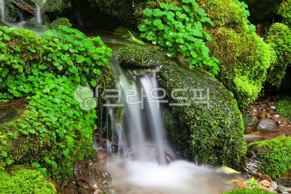 Moss Valley,Jangjeon Moss Valley,valley,green,greenery,clean,rock,moss,water,long exposure,forest,flowing,forest,landscape,beautiful,blue,green zone,waterfall,nature,outdoors,Gangwon-do,Korea
