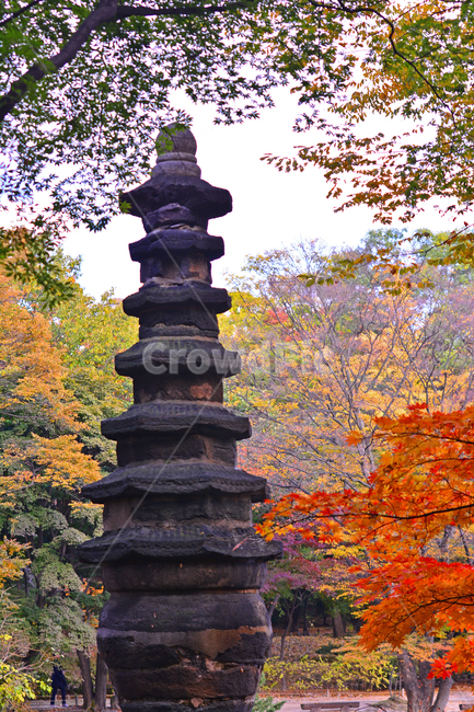 가을단풍,돌탑,유물,고궁,가을풍경,오래된,시즌,계절,배경,백그라운드,leaf,잎,가을배경,가을분위기,가을감성,가을느낌,가을서정,autumn,fall,season,빨강색,세월,식물,plant,나무,tree,야외,옥외,outdoor,창경궁팔각칠층석탑,보물제1119호,석탑,조각상,동상,석상,조형물,statue,bronze statue,stone statue