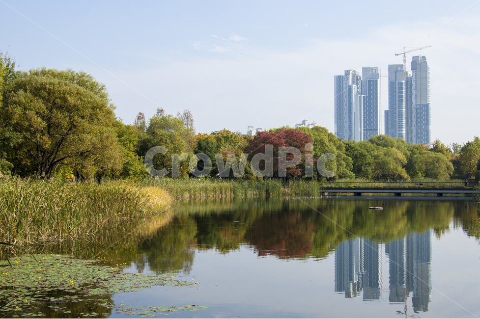 반영,호수,도시,풍경,반영사진,서울숲,서울,도시,풍경,city,landscape,한국도시풍경,한국도시경관,korea cityscape,water,물,nature,자연,outdoors,옥외