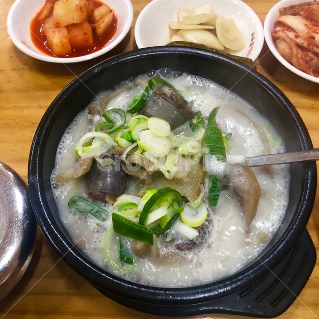 순대국,국밥,국물,순대,한식