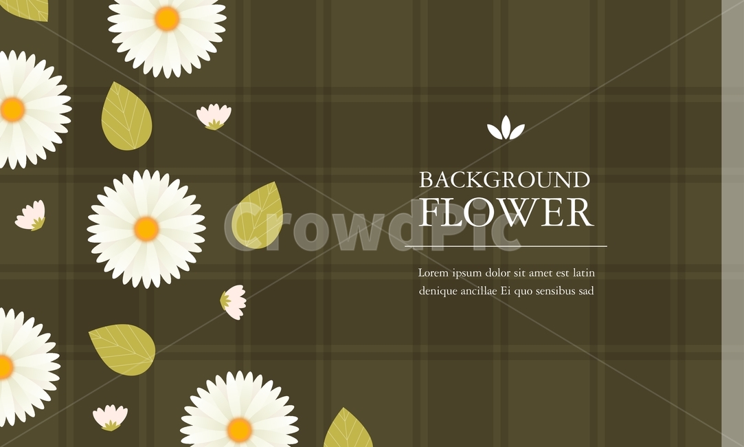 꽃,잎,열매,줄기,리본,가을,템플릿,배경,백그라운드,꽃,flower,그래픽,일러스트레이션,graphic,illustration