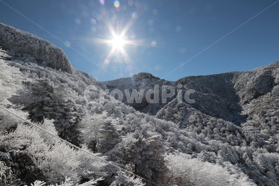 한라산,상고대,설산,겨울,겨울산행,눈꽃,진달래대피소,성판악,관음사,제주도,제주,백록담,겨울,계절,winter,season,자연,풍경,nature,landscape,한국자연풍경,한국자연경관,korea nature landscape,제주도,jeju,jeju island,outdoors,옥외,fir,전나무,tree,나무,plant,식물,abies,아비