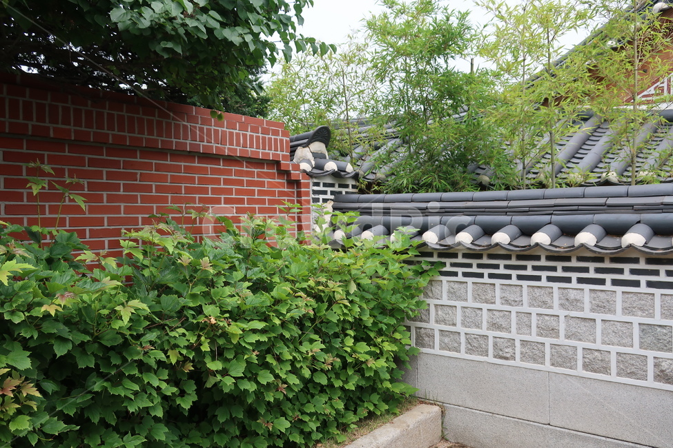 돌담,기와,화단,전통,건출,한옥,북촌,디자인,건축,문화,스타일,고풍,보존,보호,남산골,전통미,가옥,한국전통,한국문화,korean traditional,korean culture,건축물,건물외관,exterior,building,structure,architecture,construction