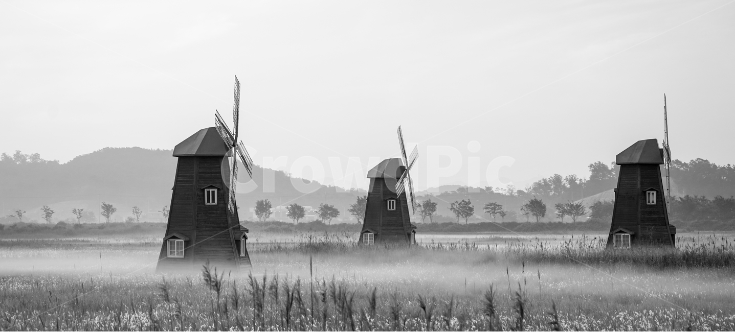 풍차,안개,소래습지,여명,풍경,자연,풍경,nature,landscape,한국자연풍경,한국자연경관,korea nature landscape,흑백,모노톤,monochrome,black and white,outdoors,옥외