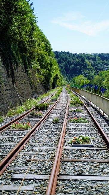 철도,레일,기찻길,철길,rail,railway