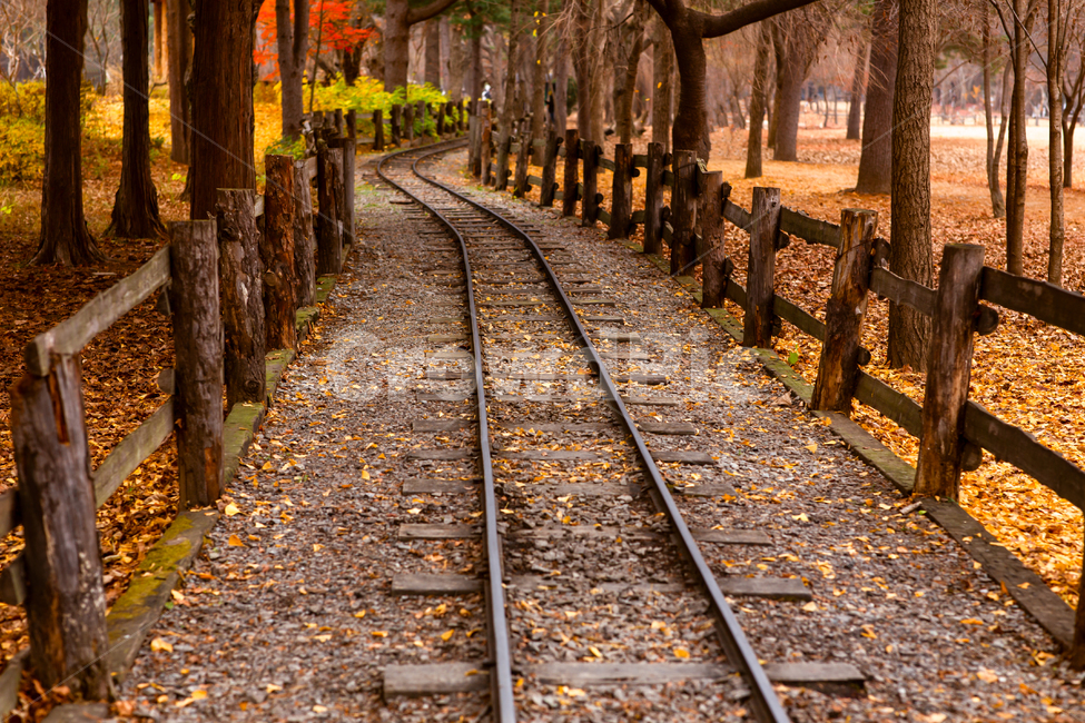 풍경,열차길,기차길,남이섬,가을,늦가을,소실점,철로,공원,파크,시설물,시설,traintrack,기찻길,rail,transportation,교통,railway,철도,목책,울타리,가을,계절,fall,autumn,season,자연,풍경,nature,landscape