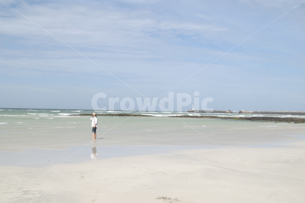 물,자연,바다,제주도,제주해변,sea,ocean,nature,shoreline,제주풍경