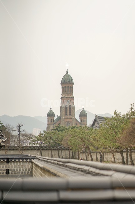 전주,전동성당,성당,한옥,한옥마을,한국적인,한국,전통적인,한국전통,jeonju,jeondong,catholicchurch,tradition,종교,신앙,religion,belief,faith,건축물,건물외관,exterior,building,structure,architecture,construction