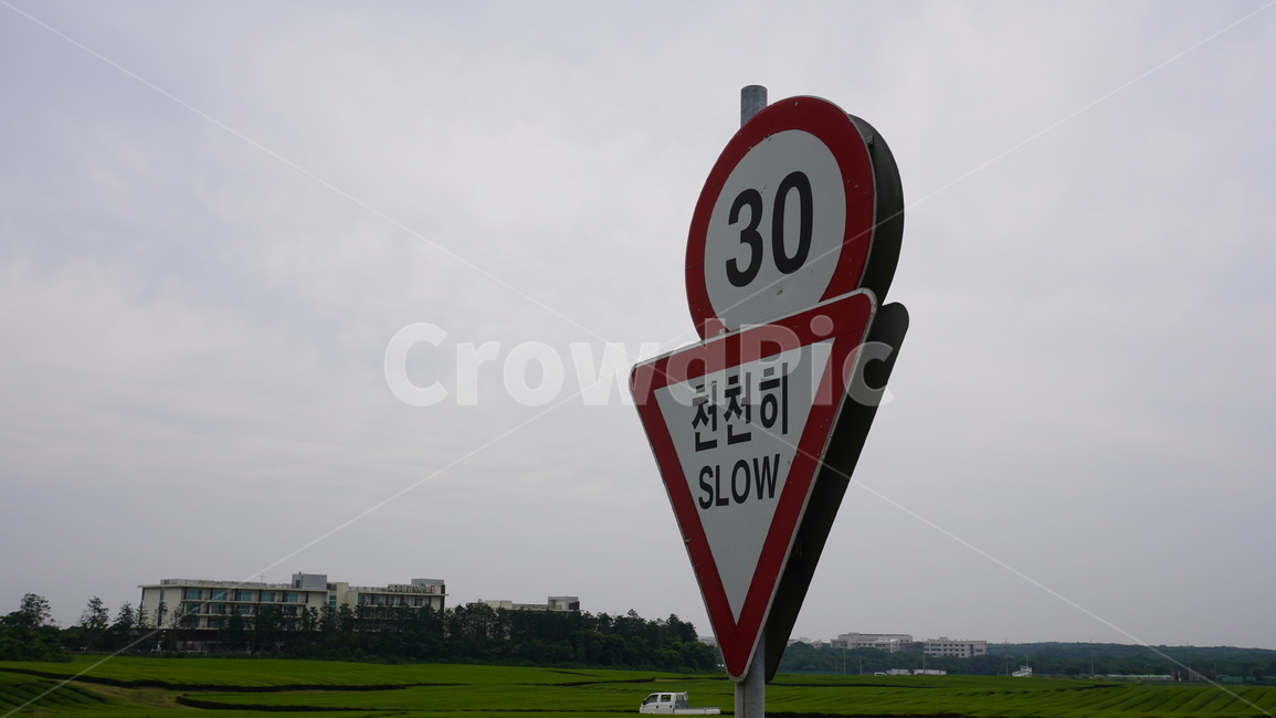천천히,표지판,속도,흐린날씨,녹차밭표지판,교통,교통수단,traffic,transportation
