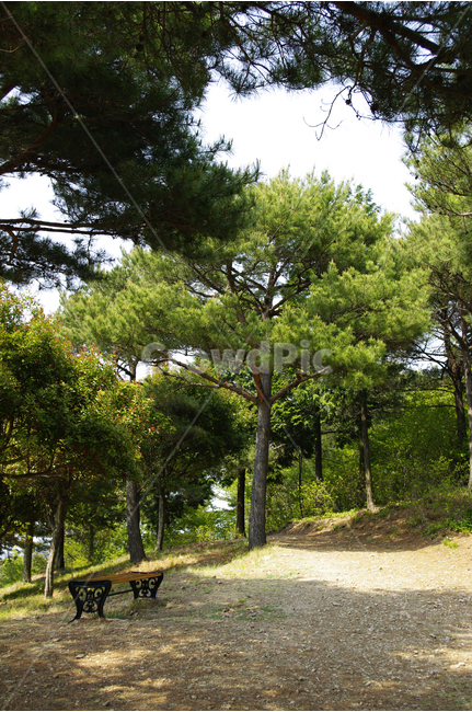 길,수목원,힐링,식물,plants,nature,산책,숲,초록,식물,자연,plants,nature,꽃,flower