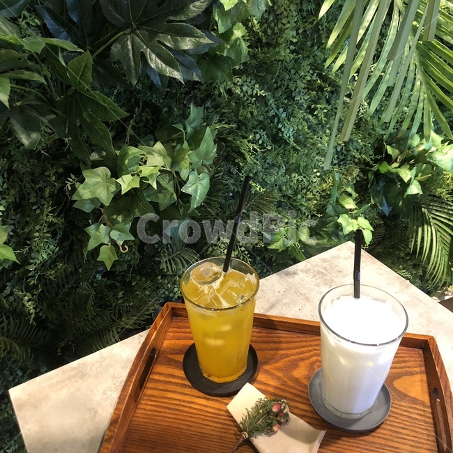juice,주스,cafe,달콤한것,음료수,카페,휴식,음료,풀,음료수,drink,beverage