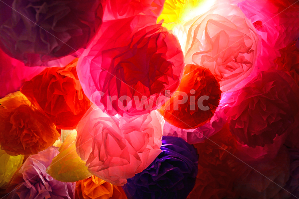 종이,플라워,flower,색상,색감,채도,그라데이션,겹치다,레이어,layer,환상적인,감성,필,느낌,분위기,feeling,emotion,배경,바탕,백그라운드,텍스쳐,패턴,장식,데코레이션,화이트,하얀색,밝음,명암,대비,무늬,어둠,background,night,cafe,컨셉,콘셉,concept,gradation,한국적,오리엔탈,환상적,패션,decoration,paper,종이꽃,flowerslight,조명,빛,빨강색,레드,노랑,핑크,분홍
