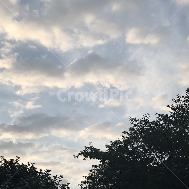 색감,감성,감성사진,풍경,자연,휴식,힐링,구름,나무,하늘,맑음,느낌,배경,사진,여름,summer,sensitive,film,cloud,color,tree,sky,sunny,clear,feeling,picture