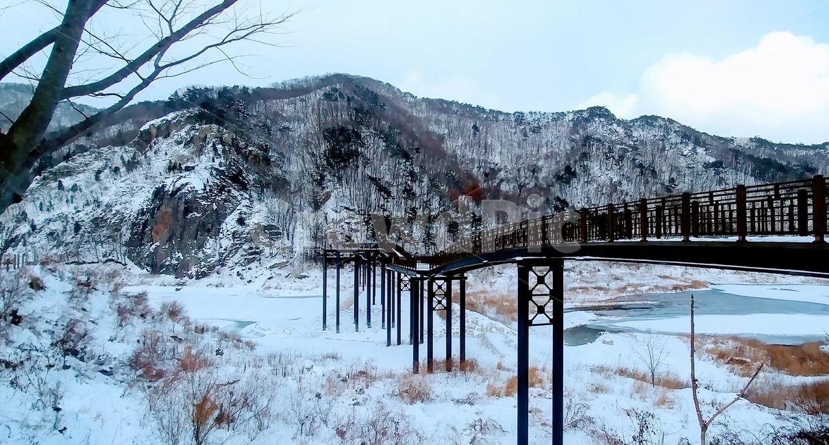 담양호,추월산,용마루길,담양,풍경,겨울,계절,winter,season,자연,풍경,nature,landscape,outdoors,옥외,tree,나무,plant,식물
